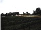 Wandin North VIC 3139
