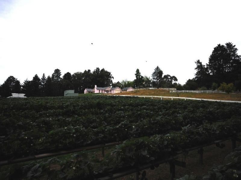 Wandin North VIC 3139