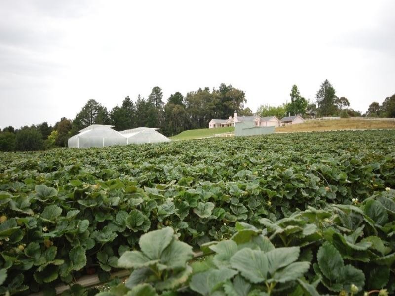Wandin North VIC 3139