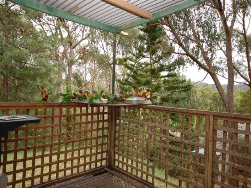 29 Currajong Avenue, Mount Evelyn VIC 3796