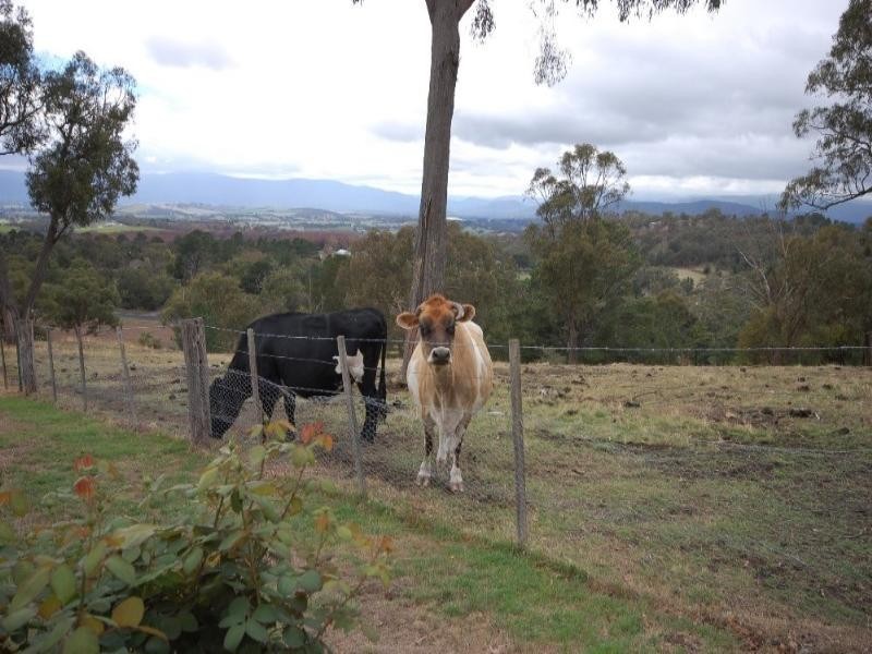 27 Lily Road, Lilydale VIC 3140