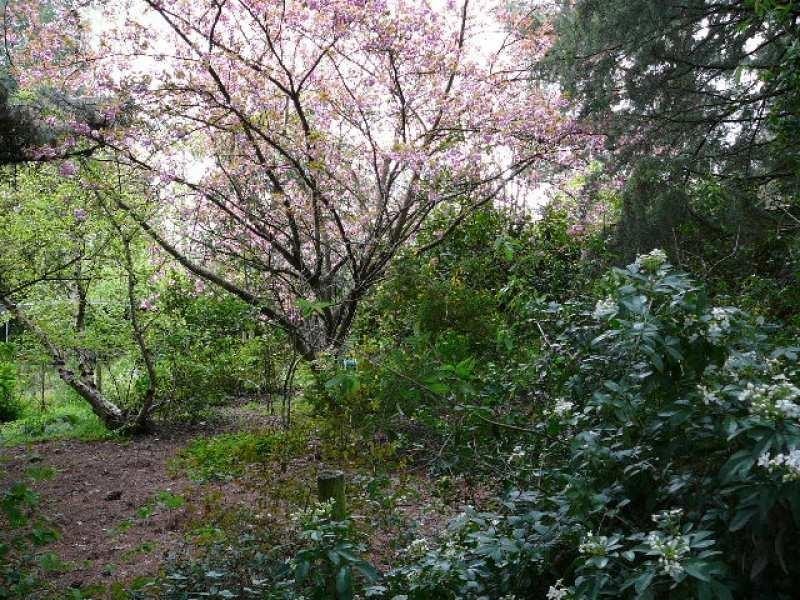 325 Monbulk Road, Silvan VIC 3795