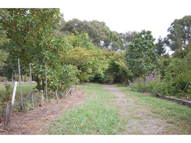 135 Clegg Road, Mount Evelyn VIC 3796