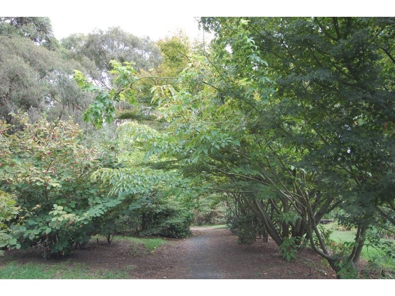 135 Clegg Road, Mount Evelyn VIC 3796