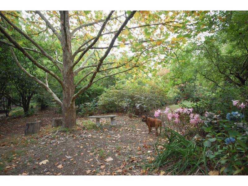 135 Clegg Road, Mount Evelyn VIC 3796