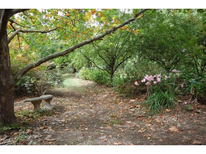 135 Clegg Road, Mount Evelyn VIC 3796