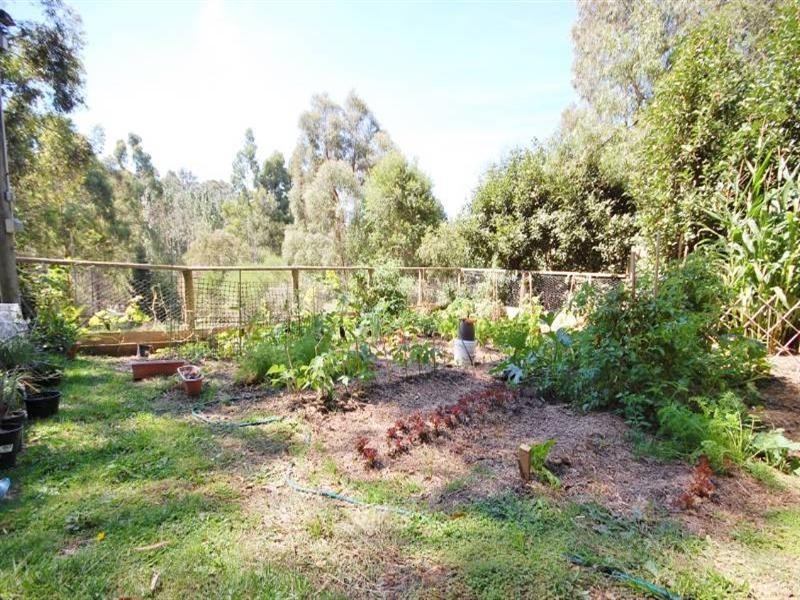 11 Seymour Street, Seville VIC 3139