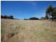Lot 3/137 Douthie Road, Seville VIC 3139