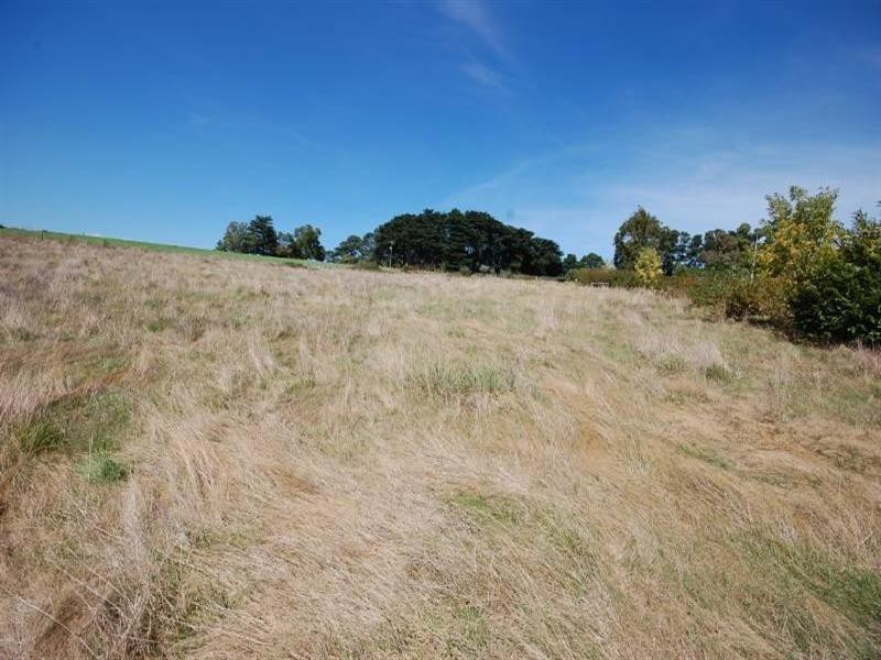 Lot 3/137 Douthie Road, Seville VIC 3139