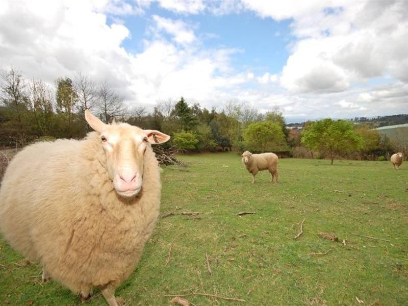 Wandin East VIC 3139