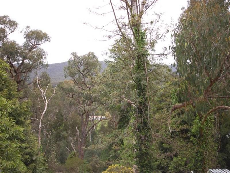 13 Blue Wren Court, Mount Evelyn VIC 3796