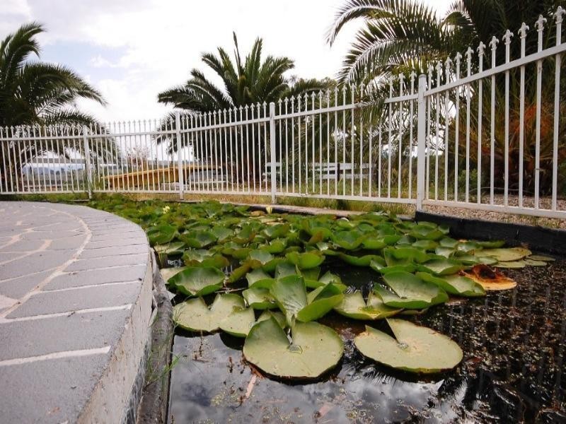 Wandin North VIC 3139