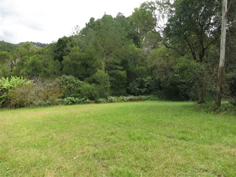 Springbrook QLD 4213