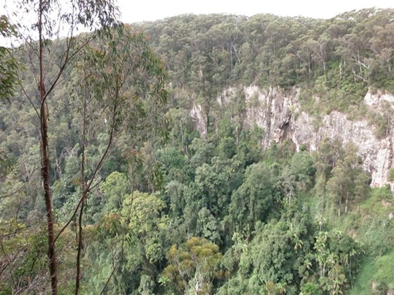 Springbrook QLD 4213