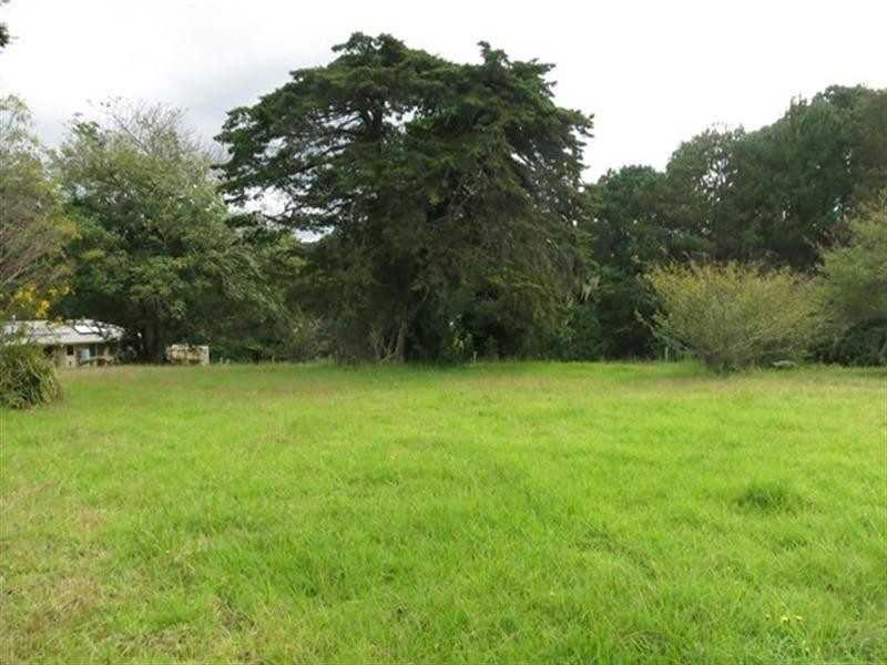 Springbrook QLD 4213