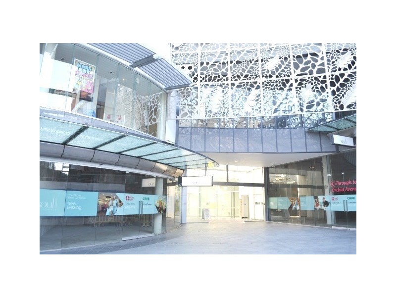 38/3-15 Orchid Avenue, Surfers Paradise QLD 4217