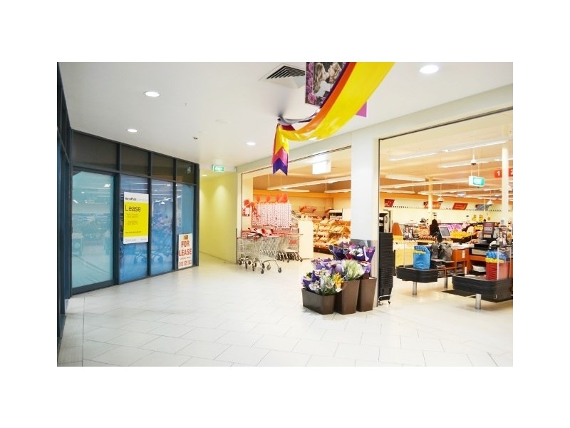 74 Nerang Beaudesert Road, Nerang QLD 4211