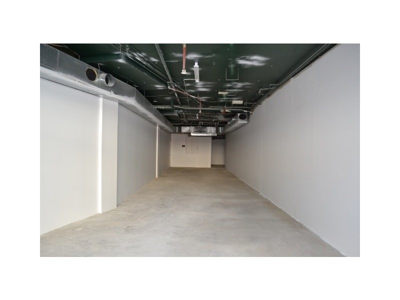 Shop 5/7-11 Elkhorn Avenue, Surfers Paradise QLD 4217