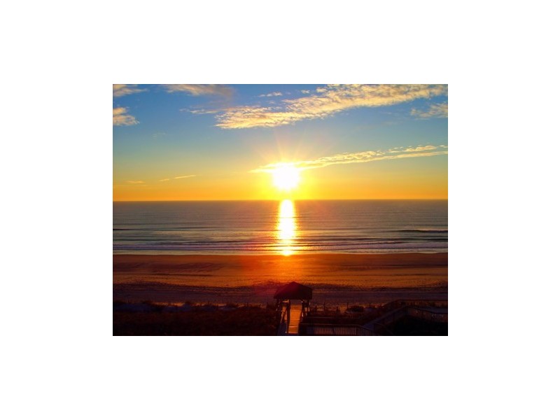 Tugun QLD 4224