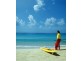 Tugun QLD 4224