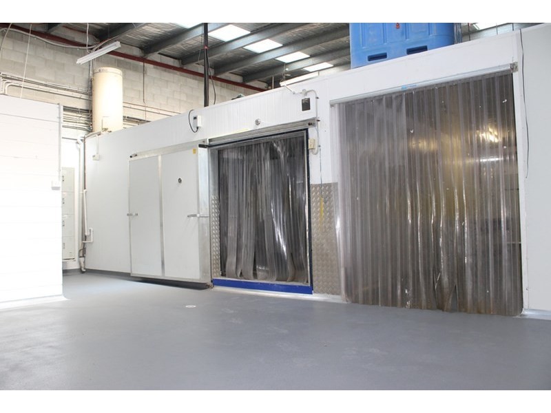 16 William Banks Drive, Burleigh Heads QLD 4220