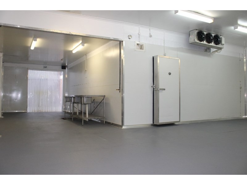 16 William Banks Drive, Burleigh Heads QLD 4220