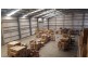 26 Export Court, Molendinar QLD 4214