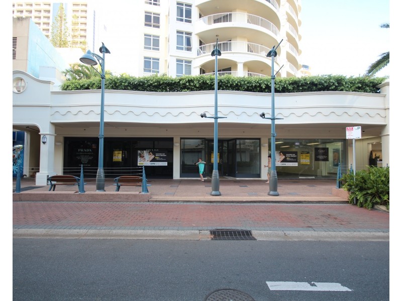 7-11 Elkhorn Avenue, Surfers Paradise QLD 4217