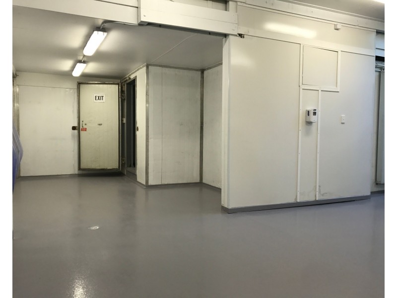 16 William Banks Drive, Burleigh Heads QLD 4220