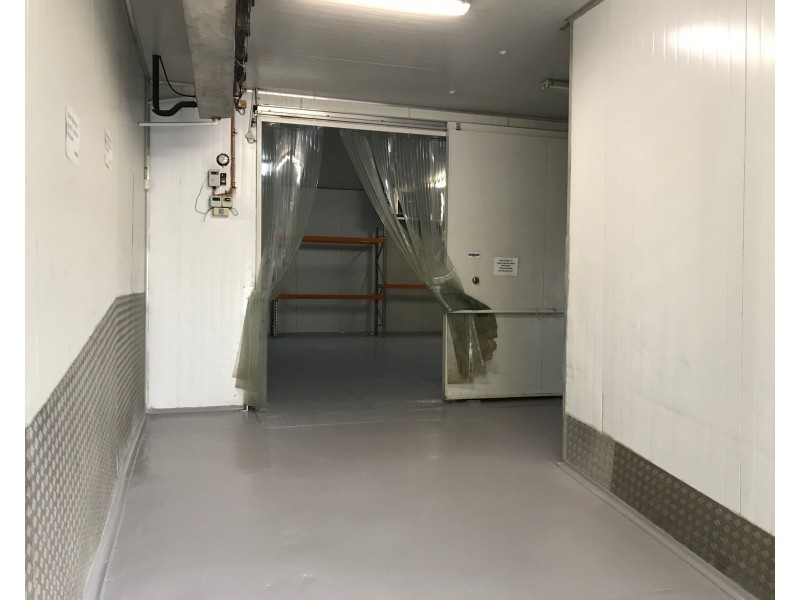 16 William Banks Drive, Burleigh Heads QLD 4220