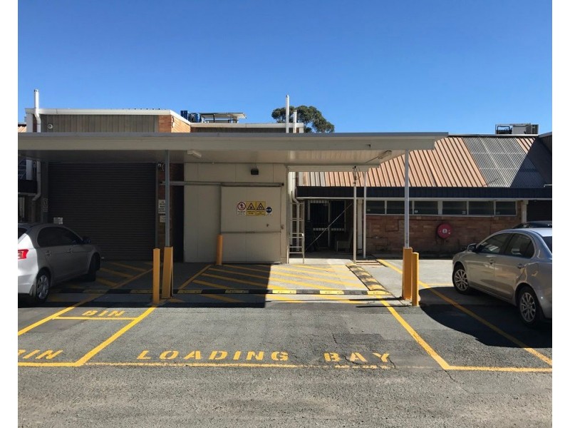 16 William Banks Drive, Burleigh Heads QLD 4220