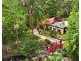 Songbirds 232 Geissmann Drive, Tamborine Mountain QLD 4272