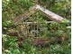 Songbirds 232 Geissmann Drive, Tamborine Mountain QLD 4272