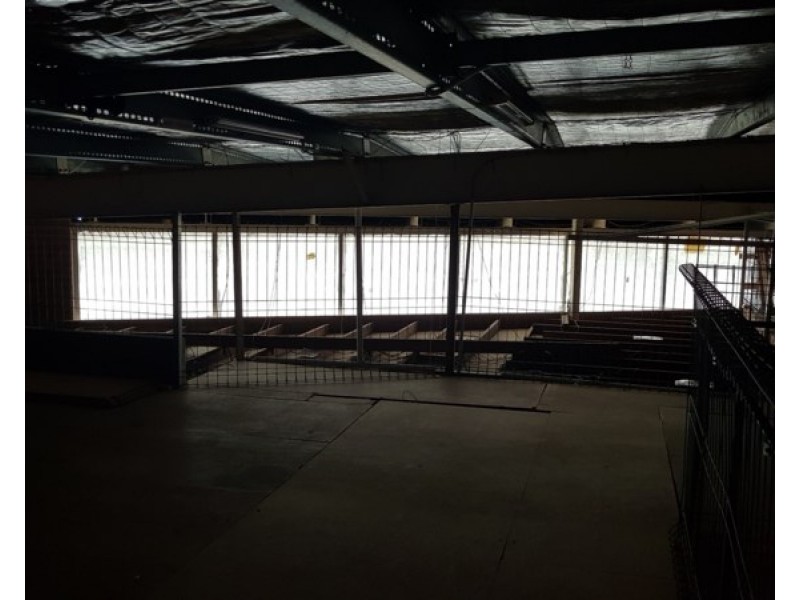 7/99 Ashmore Road, Bundall QLD 4217