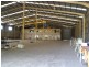 Labrador QLD 4215