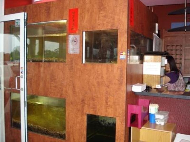 Mermaid Beach QLD 4218