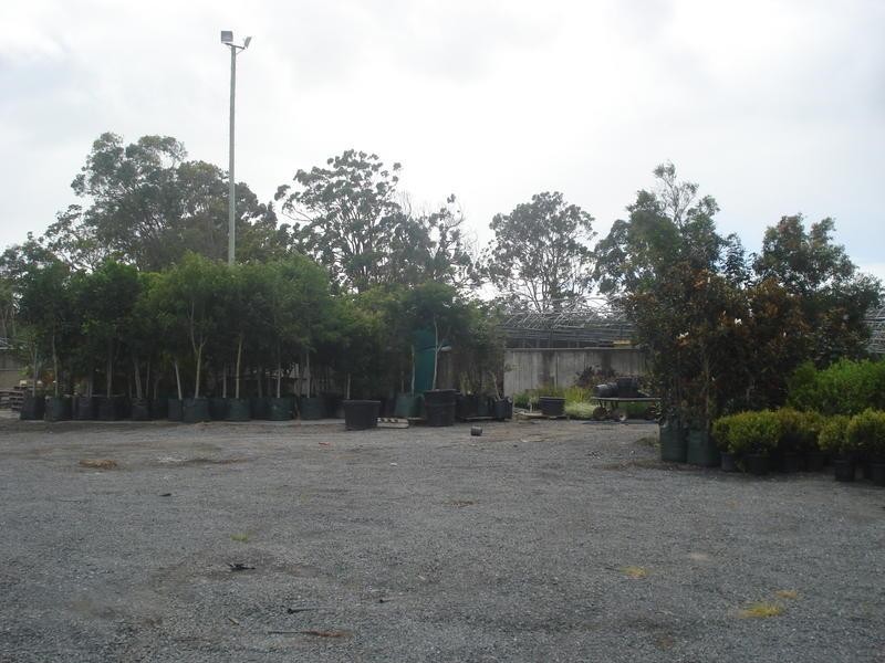 Upper Coomera QLD 4209