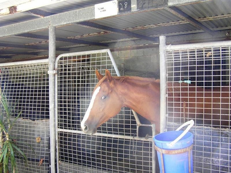 Bundall QLD 4217