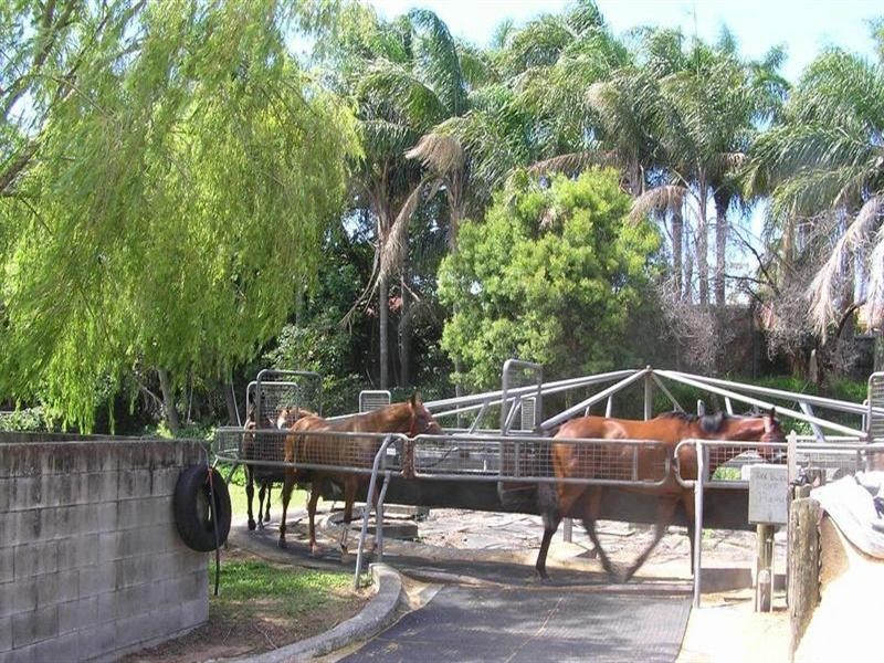 Bundall QLD 4217