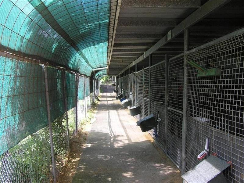 Bundall QLD 4217