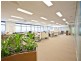 Robina QLD 4226