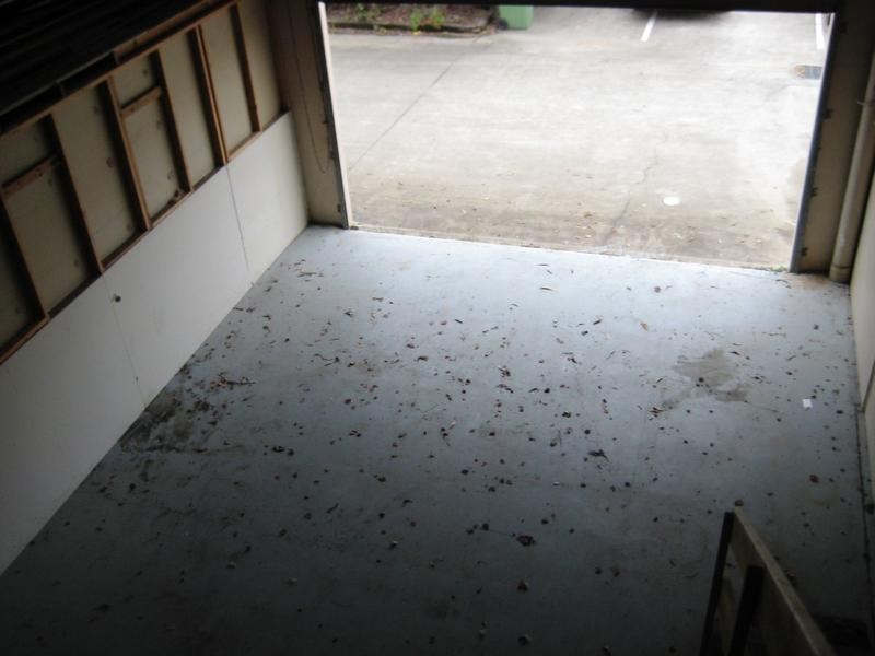 Currumbin Waters QLD 4223