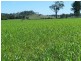 40 Cainbable Creek Road, Kerry QLD 4285