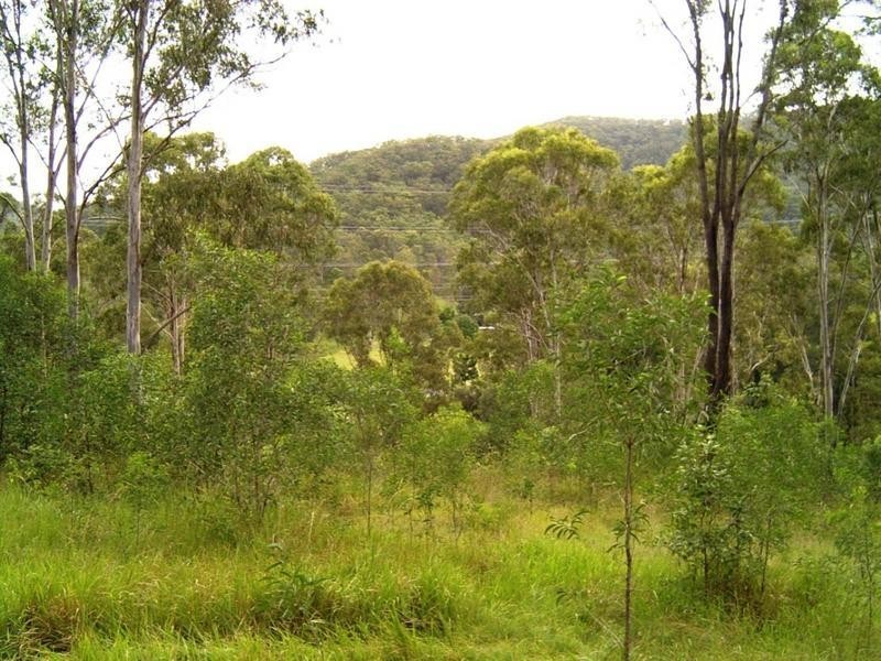 Balere Station, 2 Cedar Creek Road, Cedar Creek QLD 4207