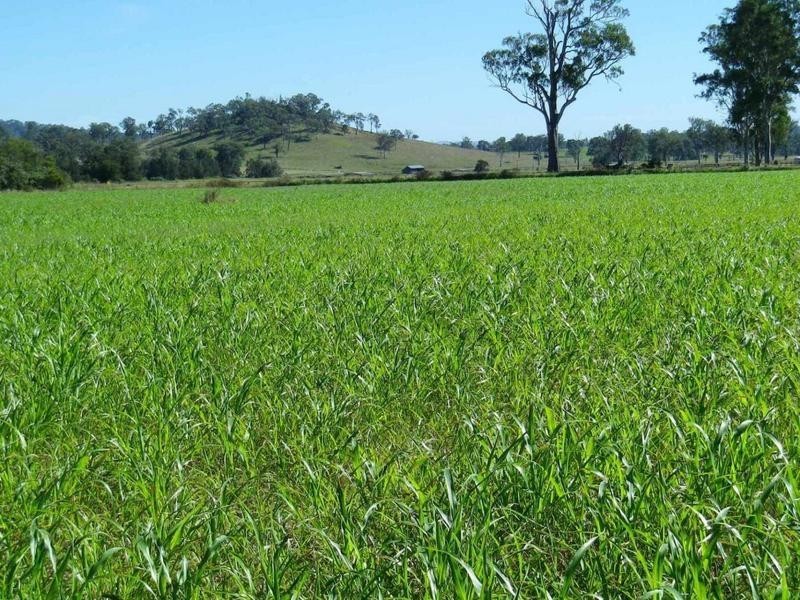 40 Cainbable Creek Road, Kerry QLD 4285