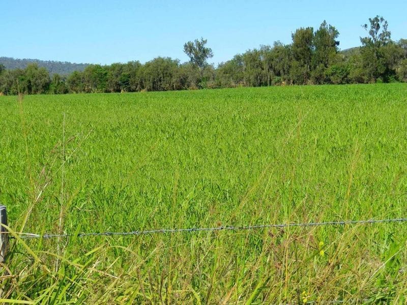 40 Cainbable Creek Road, Kerry QLD 4285