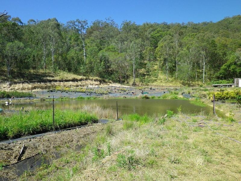 Cedar Creek QLD 4207