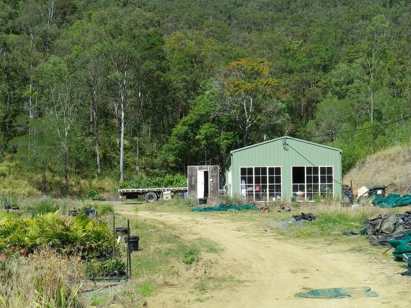 Cedar Creek QLD 4207