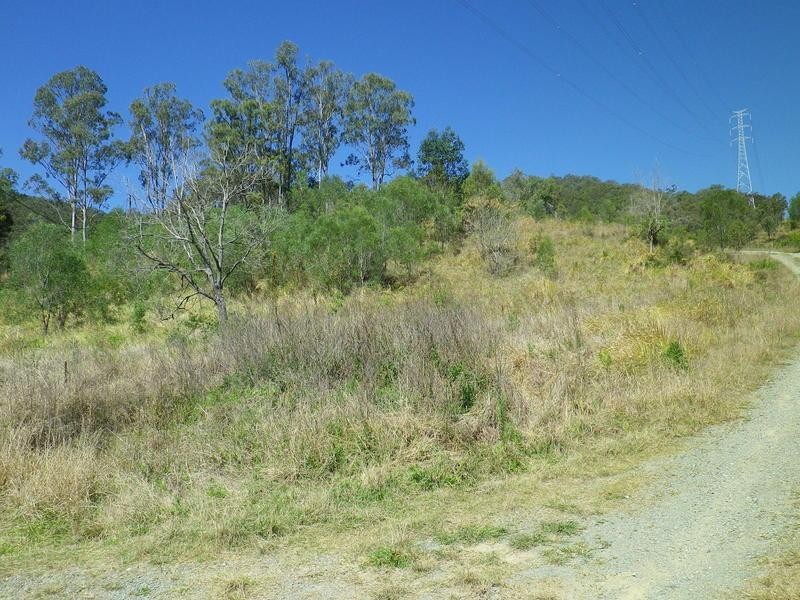 Cedar Creek QLD 4207