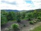 Cedar Creek QLD 4207
